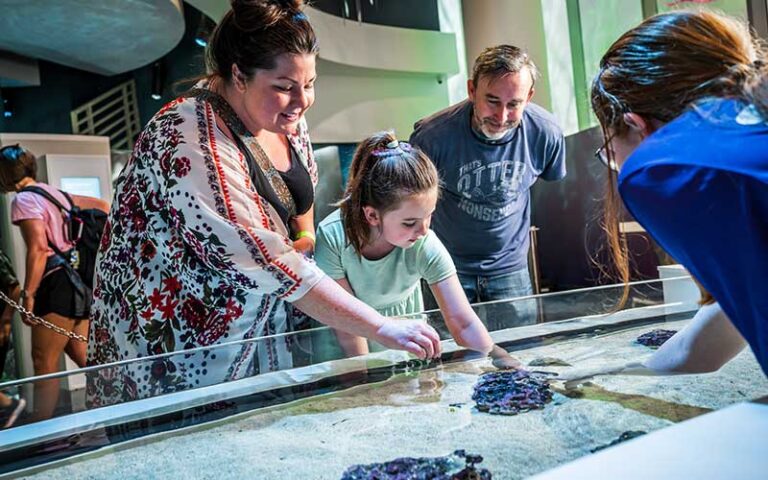 family with hand in touch tank at marine life exhibit at orlando science center