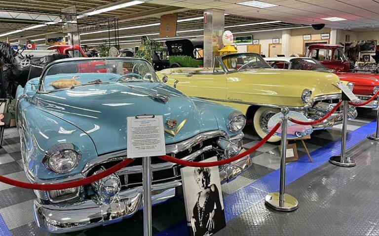 blue and yellow classic cadillac exhibits at tallahassee automobile museum