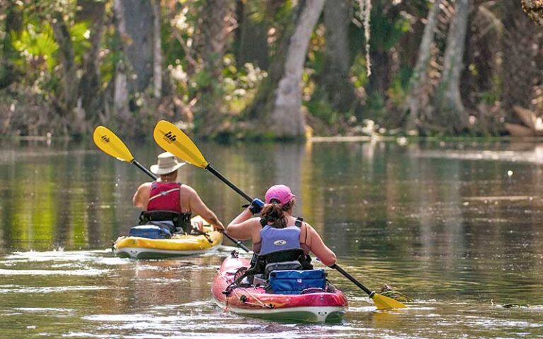 man and woman in kayaks paddling along river at silver springs state park ocala