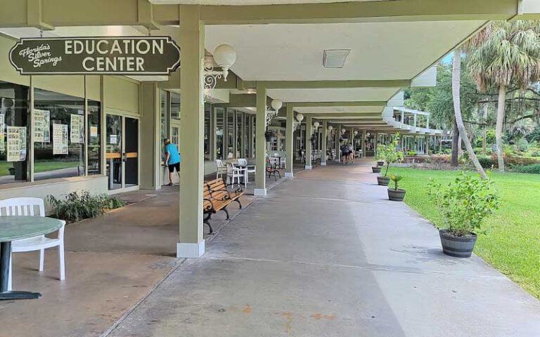 rows of storefronts with education center and patio seating at silver springs state park ocala