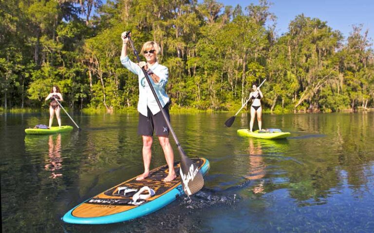 three women on paddleboards paddling on water with trees along bank at silver springs state park ocala