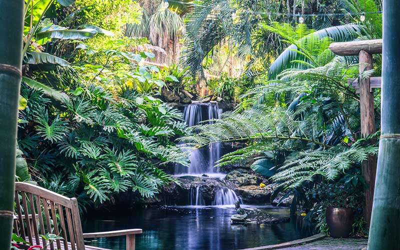 Marie Selby Botanical Gardens on the Bay in Downtown Sarasota