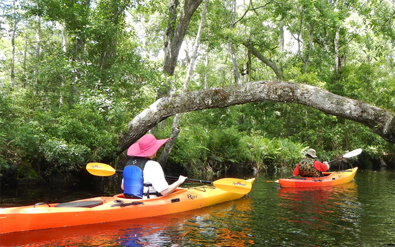 kayak tour jacksonville fl