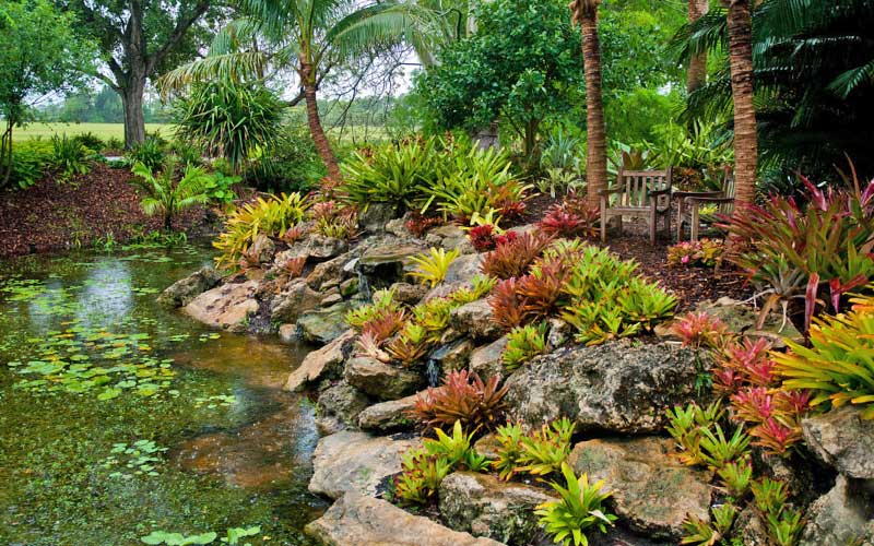 Mounts Botanical Garden | Historic Gardens in West Palm Beach