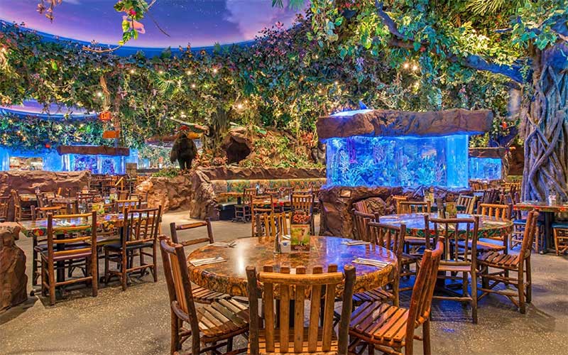 Rainforest Cafe Animal Kingdom | Jungle Theme Restaurant / Shop