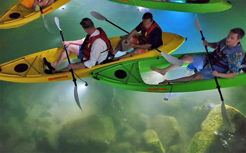 Sharkey's Glass Bottom Tours | Kayaking in St Pete & Sarasota