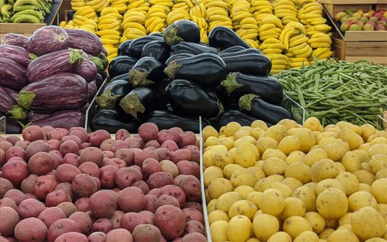 bananas eggplants and potatoes in produce area at perrines produce port orange daytona beach