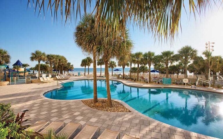 curvy pool deck with palms at club wyndham ocean walk daytona beach