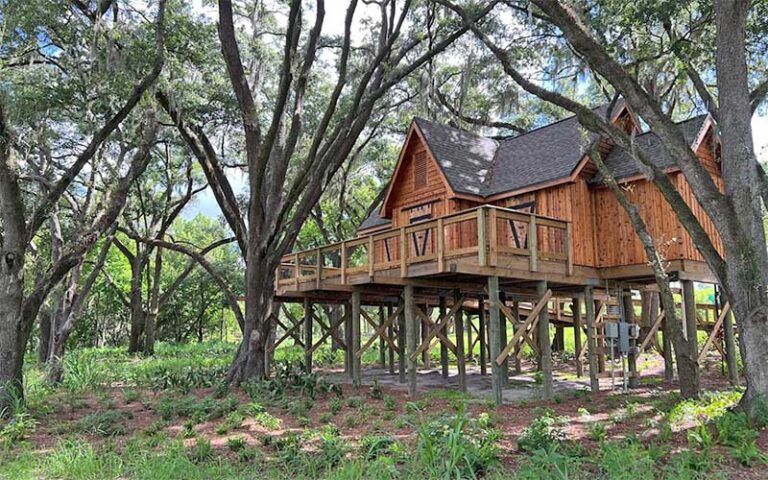 house structure on stilts in woods at bonnet springs park lakeland