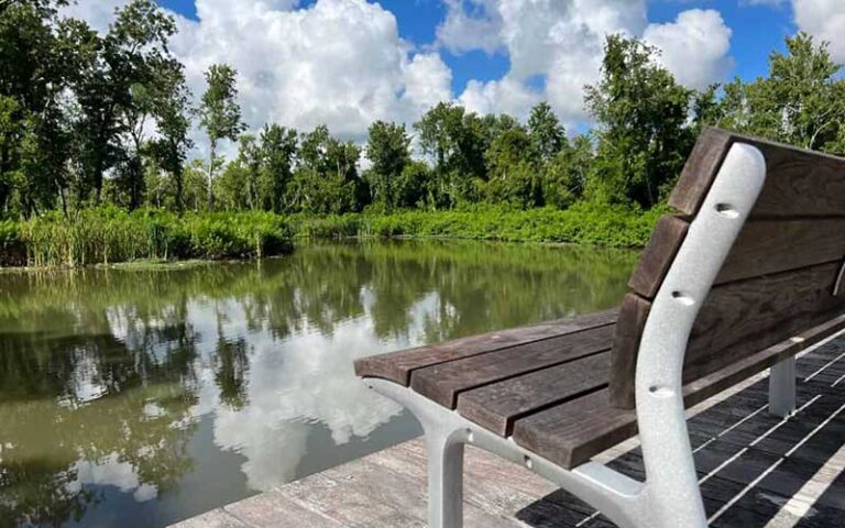 lagoon with park bench on dock at bonnet springs park lakeland