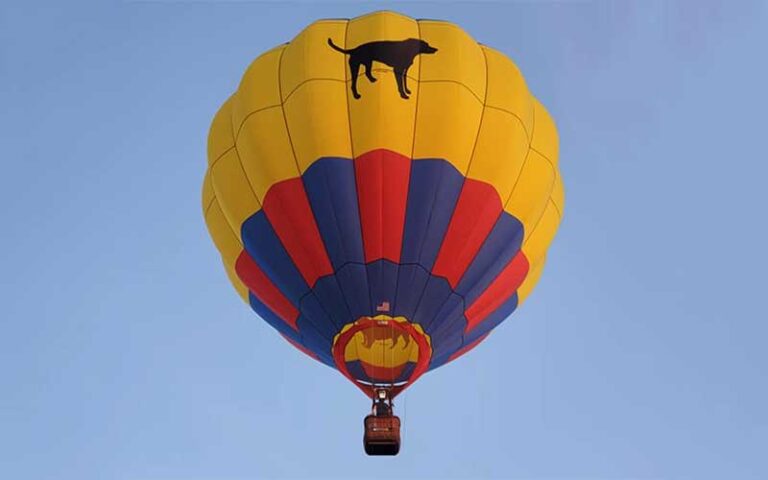 orange and blue hot air balloon with black dog logo flying at air hound adventures davenport orlando