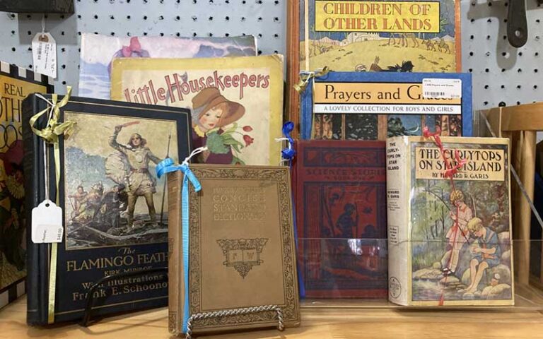 rare books displayed on shelf at lakeland antique mall