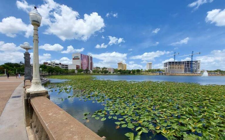 scenic lake with lily pads promenade lamppost and buildings at lake mirror lakeland