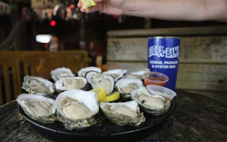 shucked oysters with drink and lemon at flora bama pensacola