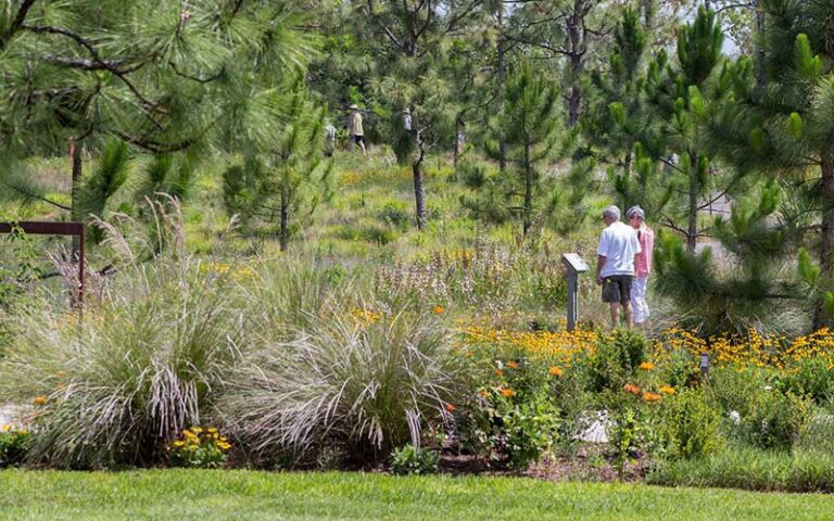 trails along hillside with placards at bok tower gardens lake wales