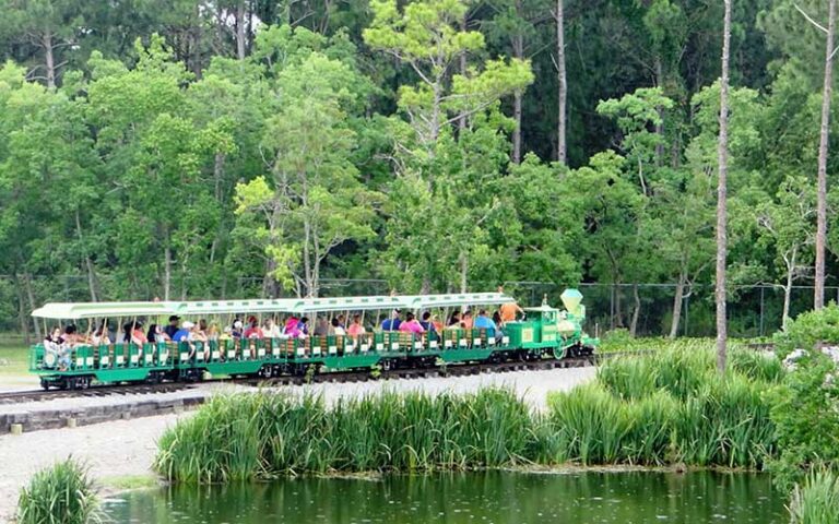 train with passengers riding by waterway at gulf breeze zoo pensacola