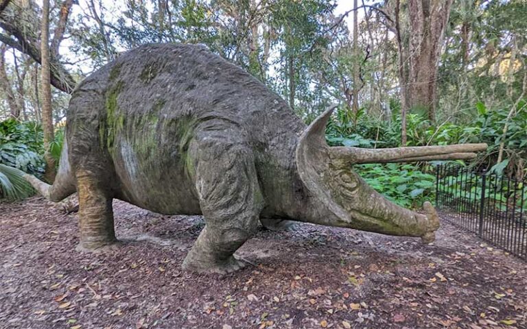 triceratops dinosaur sculpture in forest area at dunlawton sugar mill gardens port orange daytona beach