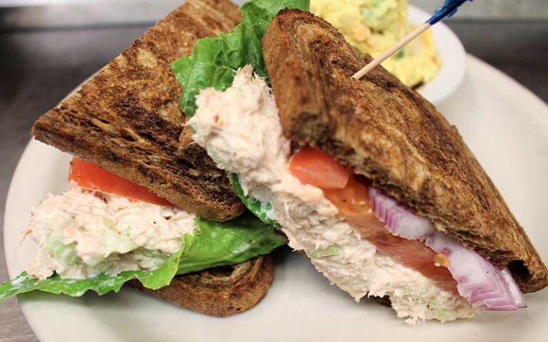 tuna salad sandwich on marble rye at cozy oaks restaurant lakeland