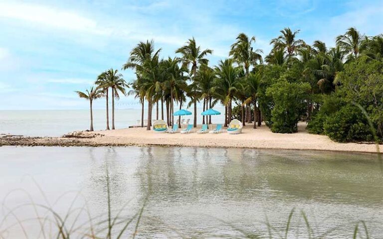 beach peninsula with trees and loungers at isla bella beach resort marathon fl keys
