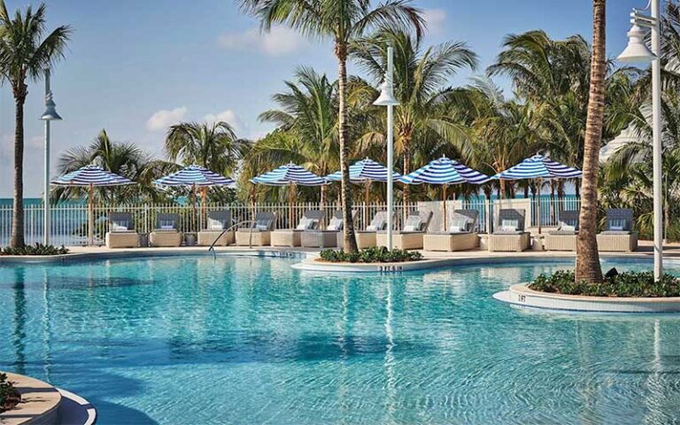 curvy pool area with loungers and trees at isla bella beach resort marathon fl keys