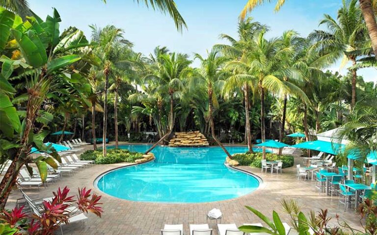 curvy pool with loungers surrounded by dense palm trees at havana cabana key west