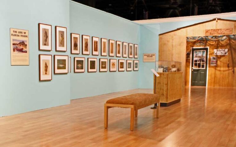 exhibits about fishing at museum of florida history tallahassee