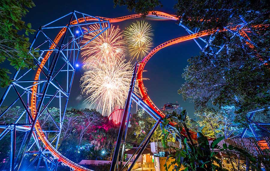 fireworks blooming in night sky framed by lighted roller coasters busch gardens tampa bay