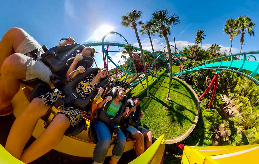 fish eye view of riders on colorful roller coaster at busch gardens tampa