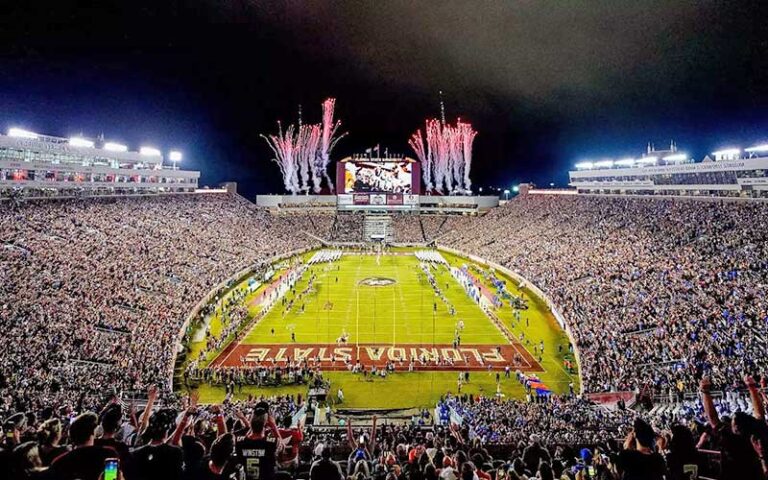 full stadium with fireworks at end zone video screen at doak s campbell stadium tallahassee