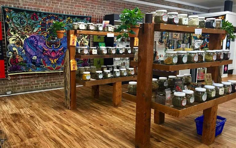 herbs and holistic medicines on shelves at stone age tallahassee