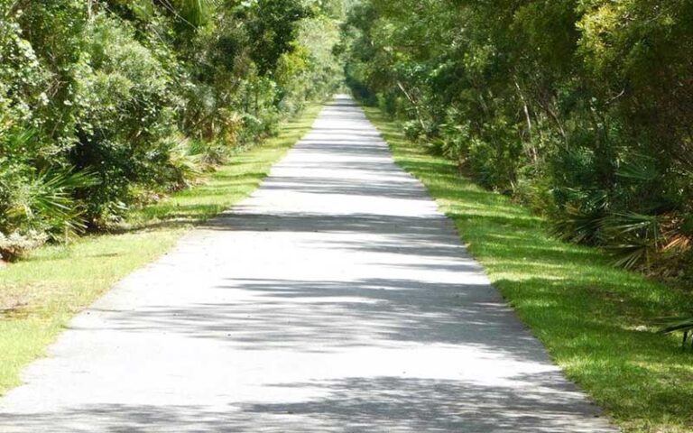 paved path extending through wooded area at tallahassee st marks historic railroad state trail