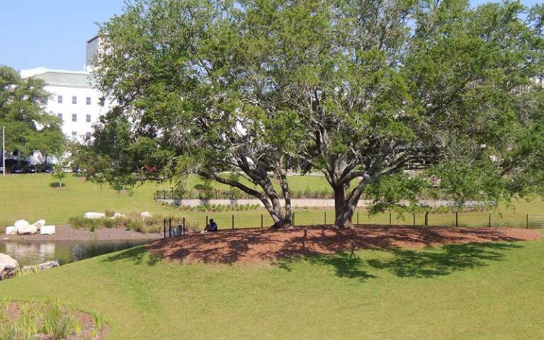 person sitting under shady trees along waterway at cascades park tallahassee