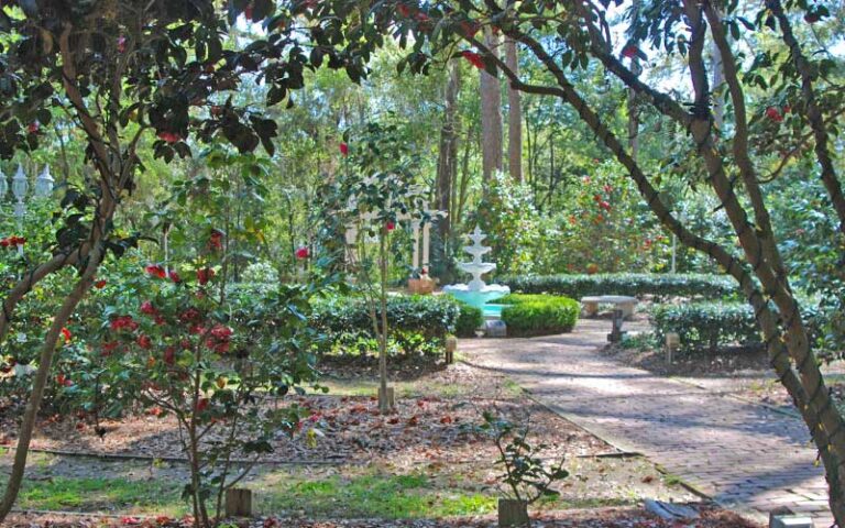 rose garden with tiered fountain at dorothy b oven park tallahassee