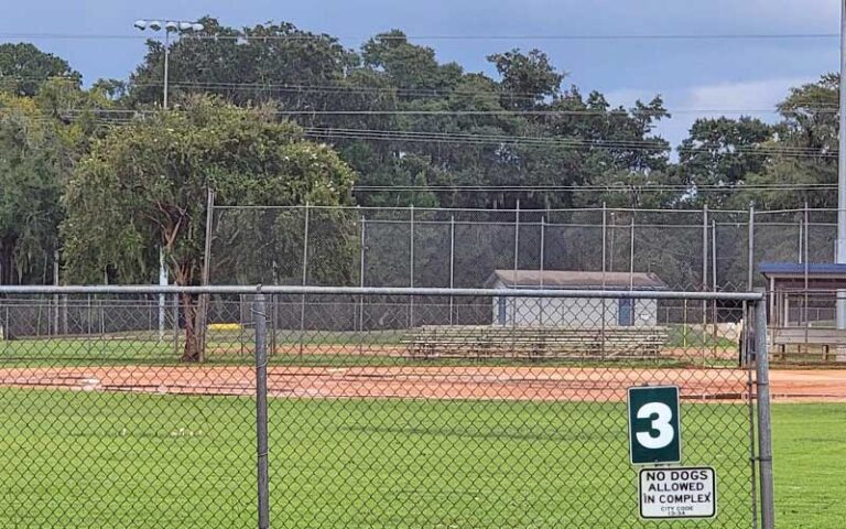 softball field with fences at tom brown park tallahassee