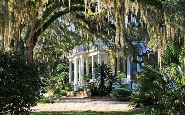 stately house framed by oaks at goodwood museum gardens tallahassee