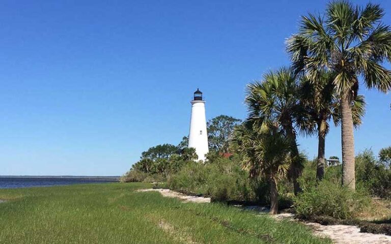 white lighthouse on coastline with palms at st marks lighthouse