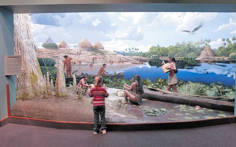 young girl looking at native diorama at museum of florida history tallahassee