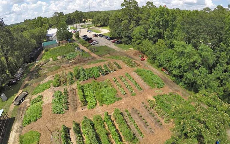 aerial of large garden with rows of vegetation behind restaurant at backwoods crossing tallahassee