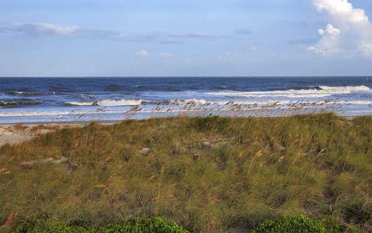 beach with waves and sea oats dunes at peters point beachfront park amelia island