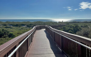 boardwalk over dunes leading to beach with clear sky at american beach amelia island