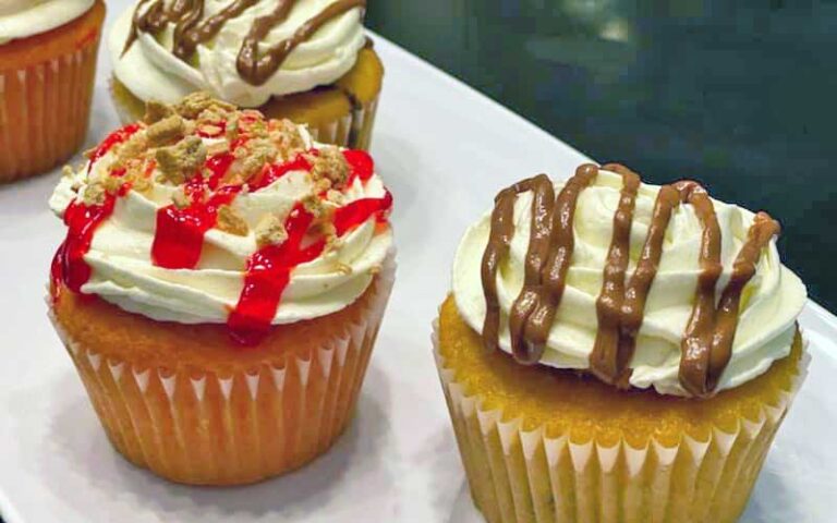 cupcakes with red and black rippled topping at abracadabra ice cream factory kissimmee