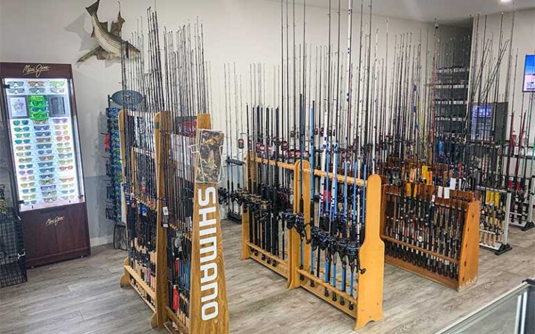 fishing rods in racks and sunglasses at amelia island bait tackle fernandina beach