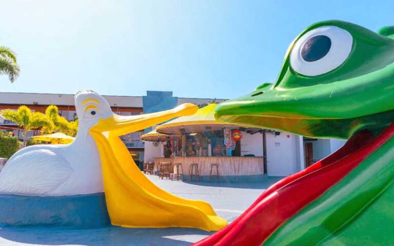 frog and seagull slides at kids area of water park at flamingo waterpark resort kissimmee