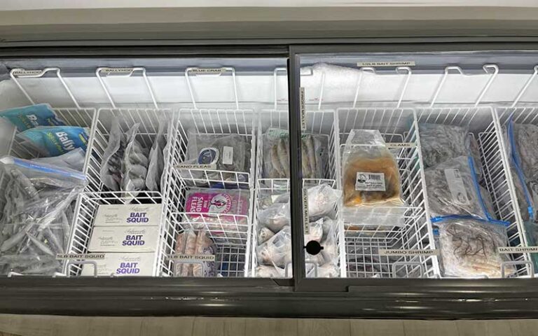 frozen bait in storage freezer at amelia island bait tackle fernandina beach