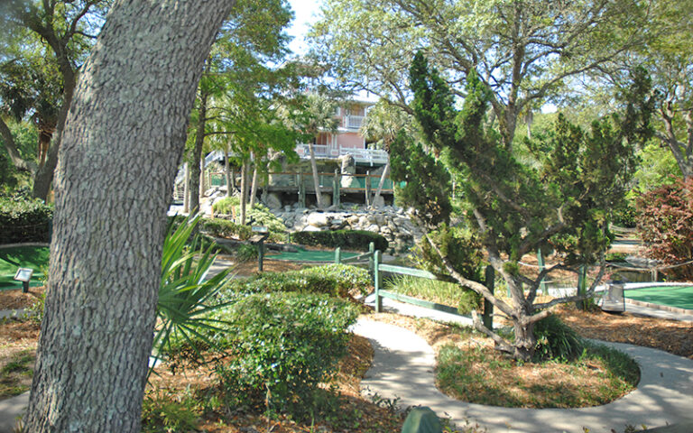 golf course in dense wooded area at island falls adventure golf amelia island