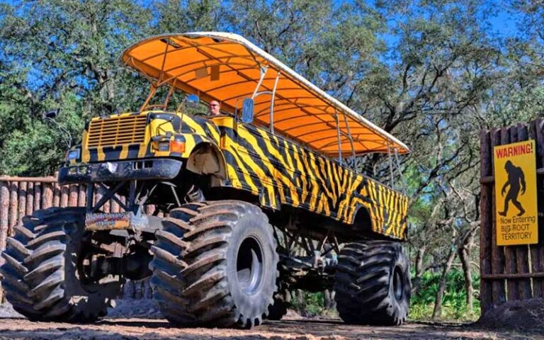 monster truck bus with tiger stripes driving through gate at showcase of citrus clermont kissimmee