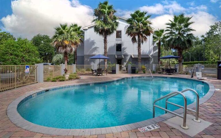 outdoor curvy pool with palms at best western plus tallahassee north hotel