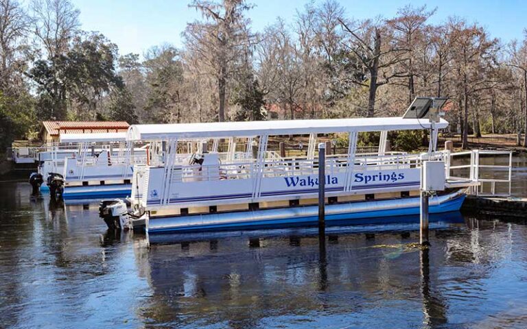 rows of docked tour boats at the lodge at wakulla springs tallahassee