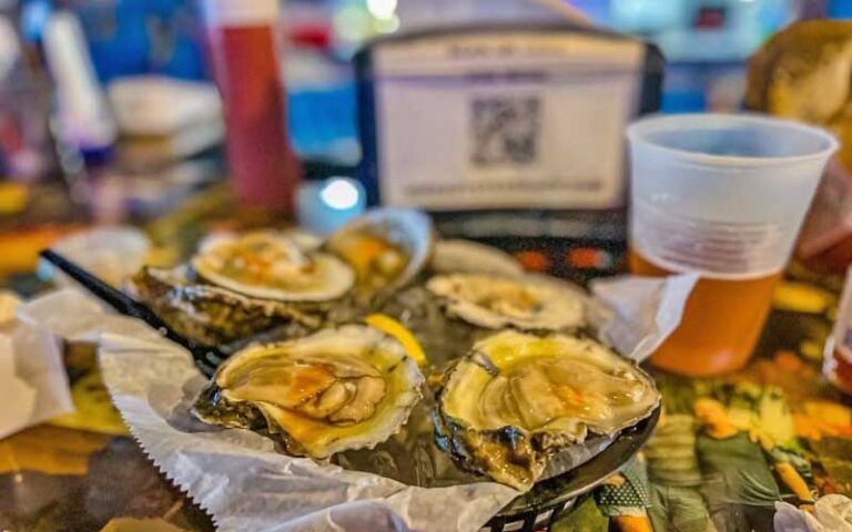 spicy oysters platter with beer on bar at birds aphrodisiac oyster shack tallahassee