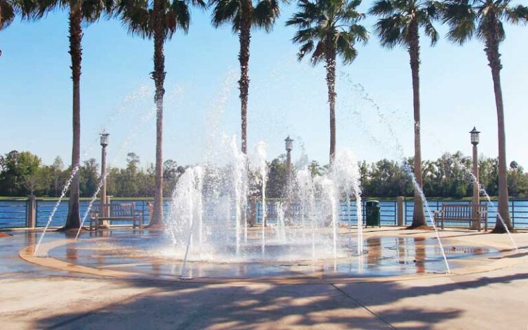 splashpad fountain in shady paved area with palms and lake at celebration town center kissimmee